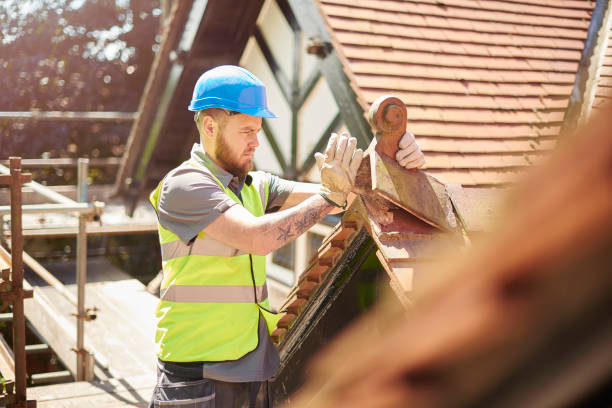 Roof Gutter Cleaning in Sewanee, TN